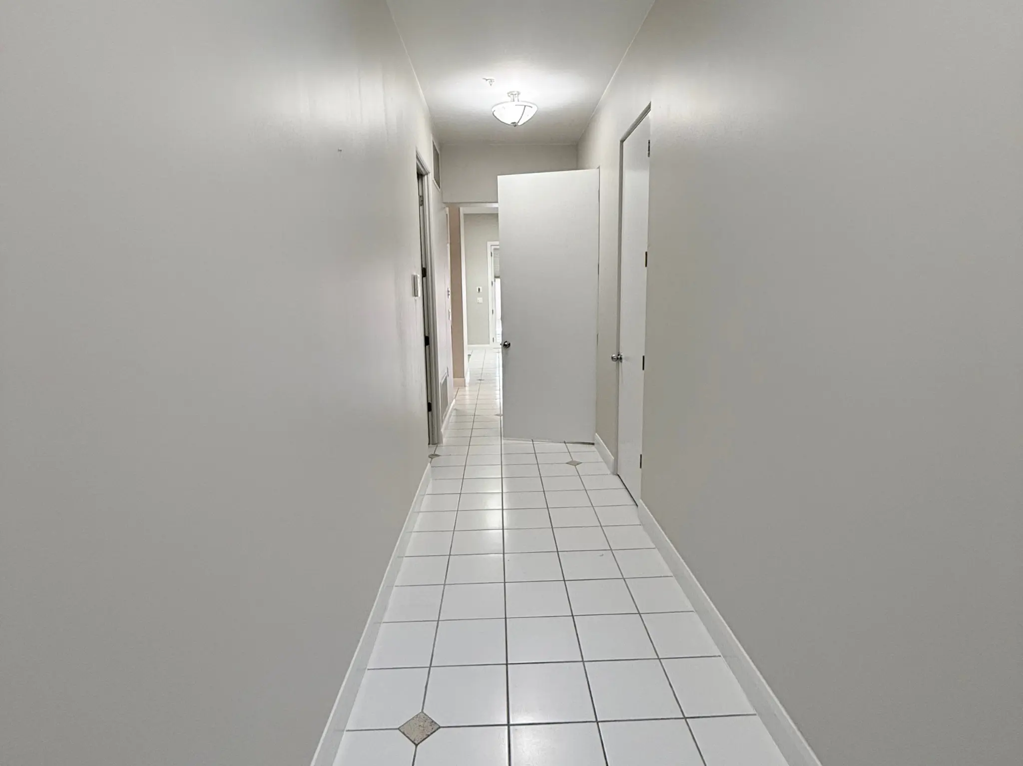 Wild & Free Painting Hallway-Painting Elevate Your Home's Ambiance with Interior House Painting  